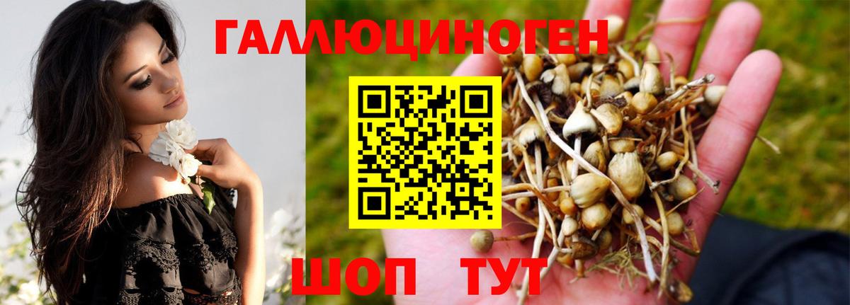 Галлюциногенные грибы GOLDEN TEACHER Чебоксары